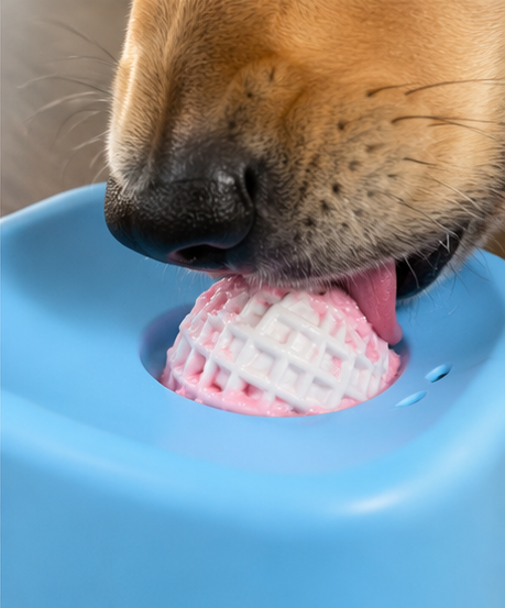 The Pup Lick